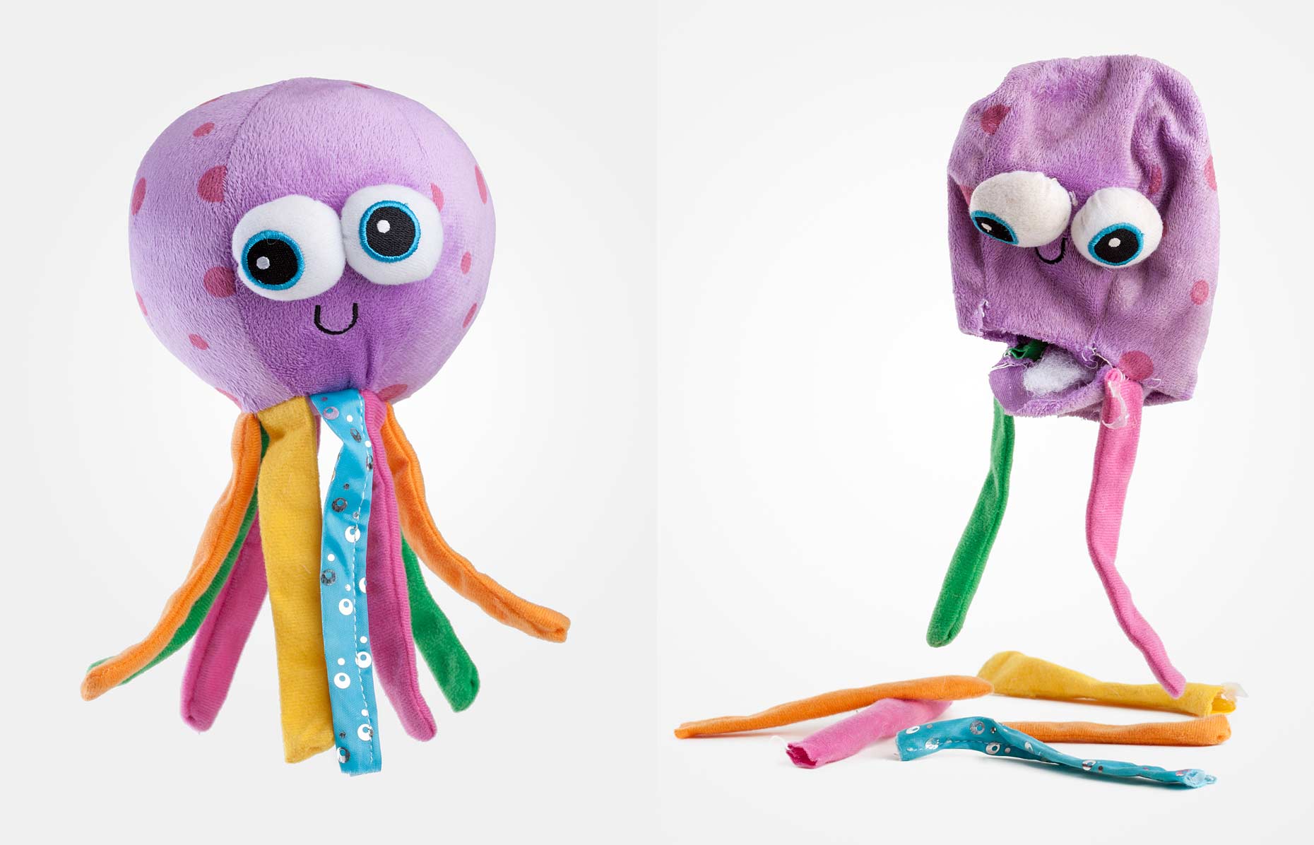 The Friendly Octopus | Commercial + Documentary Dog Photographer - Washington DC, VA, MD 