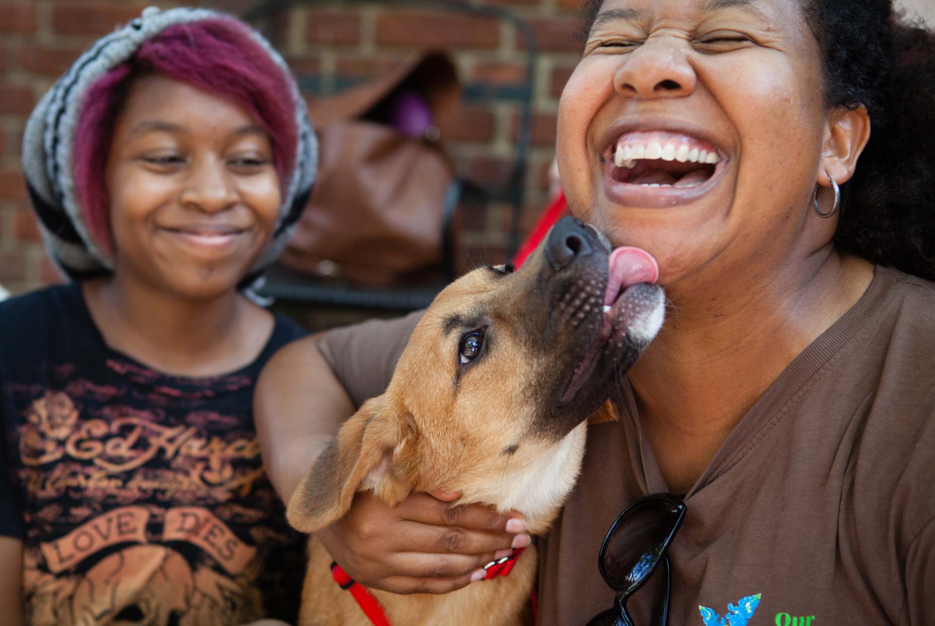 Lifestyle Dog Photographer - Washington DC, VA, MD |  City Dogs Rescue