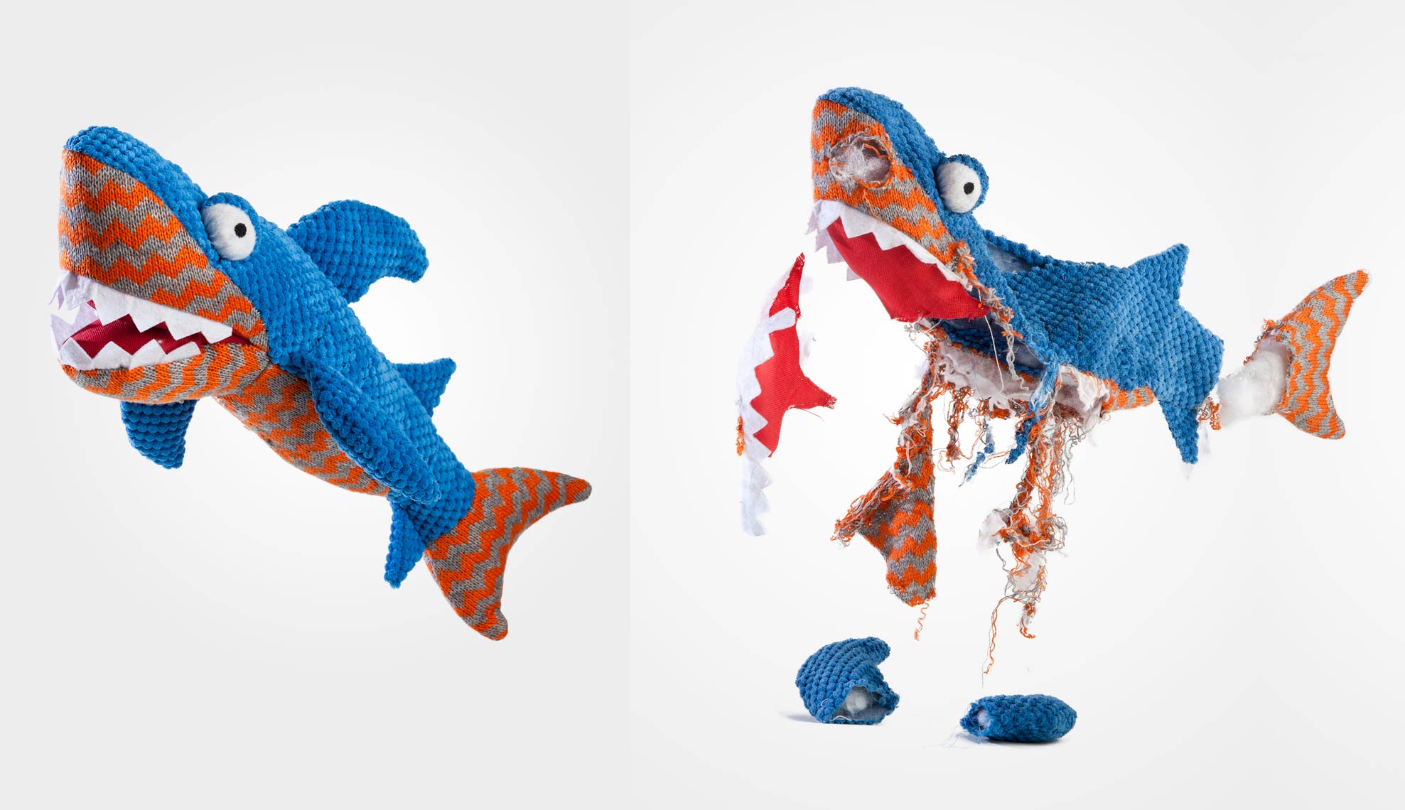 The Shark :: Commercial + Documentary Dog Photographer - Washington DC, VA, MD 