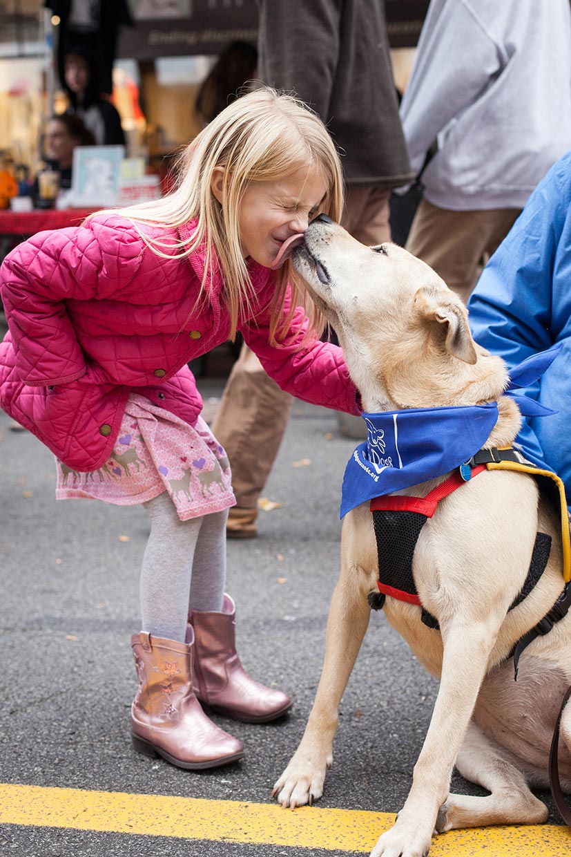 Lifestyle Dog Photographer - Washington DC, VA, MD |  City Dogs Rescue | Hannele Lahti
