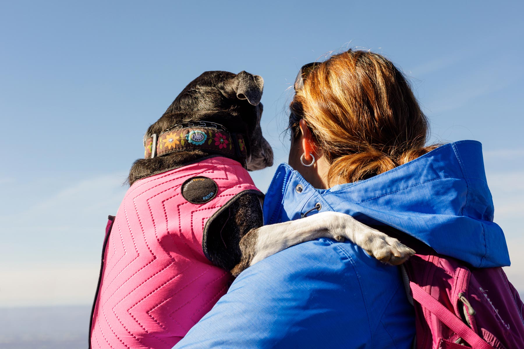 Hiking with Dogs | Washington DC Lifestyle Dog Photographer | Shenandoah National Park