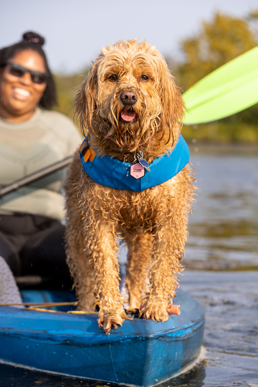 Kayaking with Dogs | Washington DC Lifestyle Dog Photographer