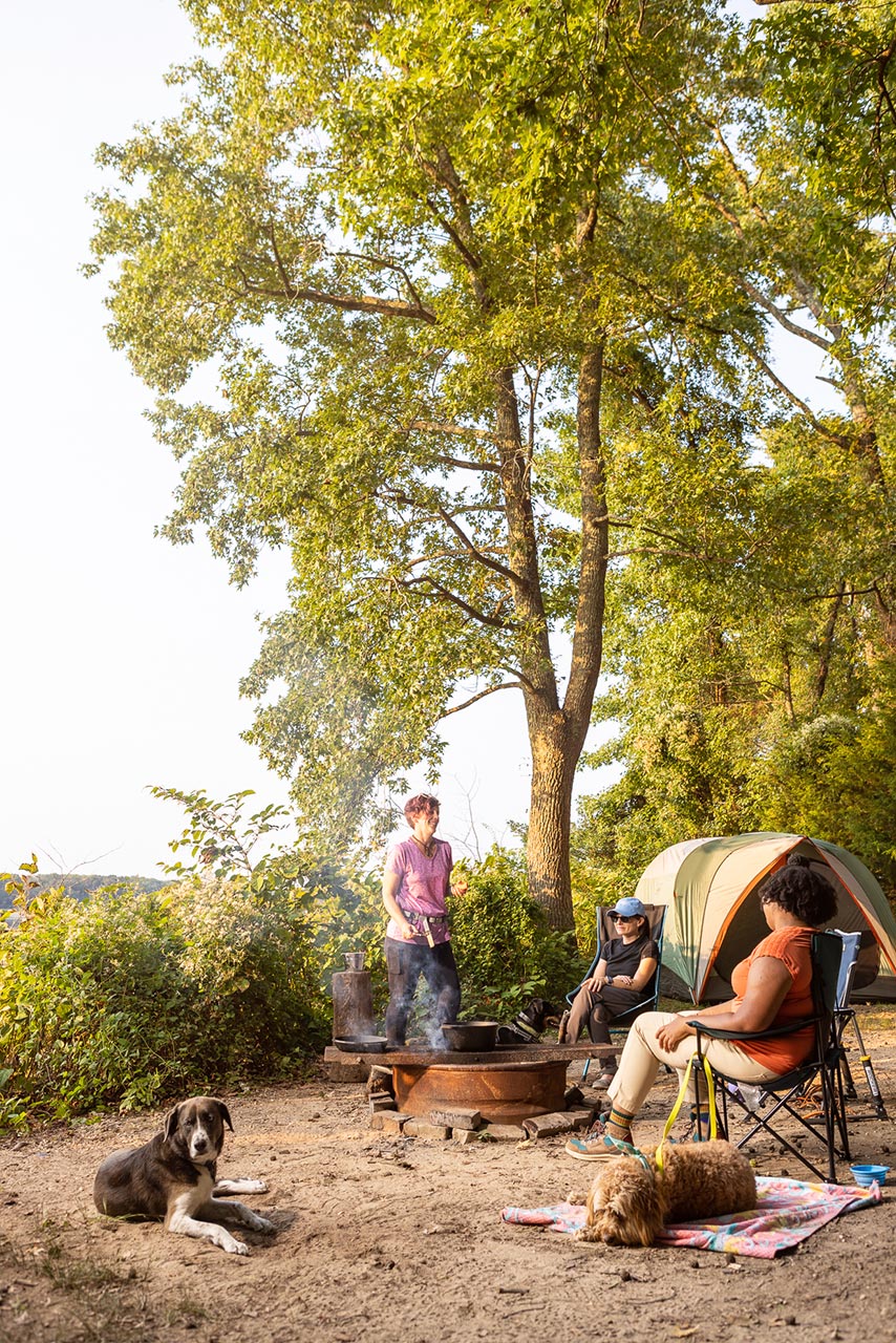 Camping with Dogs | Washington DC Lifestyle Dog Photographer | Hannele Lahti