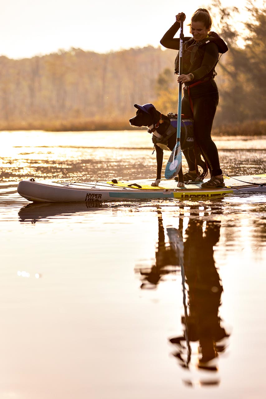 SUP with Pup | Washington DC Lifestyle Dog Photographer | Hannele Lahti